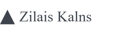 Klienta logotips 7